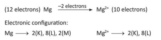 Atomic Structure Chapter Notes | Chemistry for EmSAT Achieve