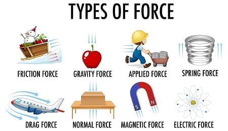 Unit Test (Solutions): Exploring Forces | Science Curiosity Class 8 -  New NCERT