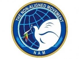 Revision Notes: Non-Aligned Movement | History and Civics Class 10 ICSE