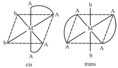 Stereo Isomerism