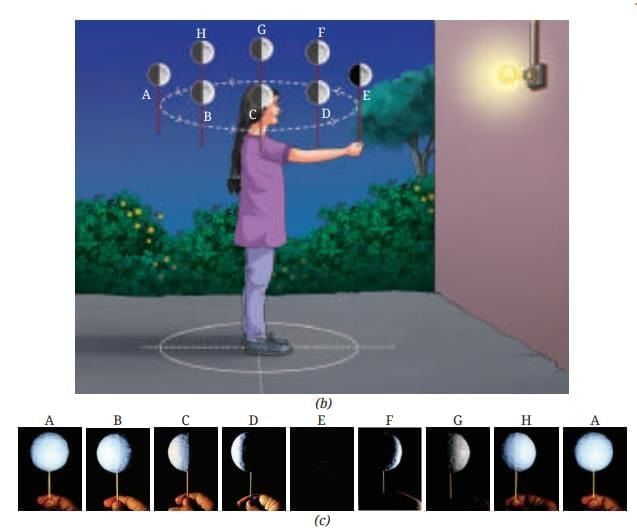 Unit Test: Keeping Time with the Skies | Science Curiosity Class 8 -  New NCERT