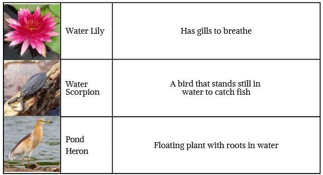 Unit Test: Water—The Essence of Life | Our Wondrous World  Class 5 - New NCERT