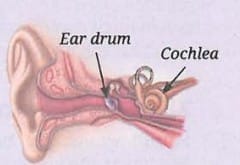 6.4 Human Perception of Sound