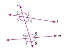 Lines and Angles Chapter Notes | Mathematics Class 7 ICSE
