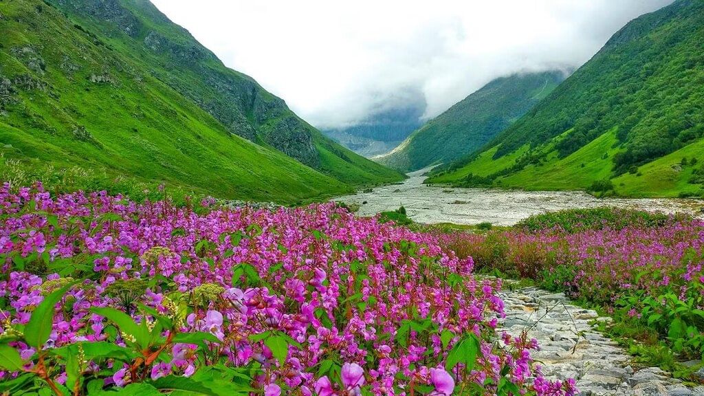 Very Short Answer Questions: Spectacular Wonders | English Poorvi Class 8 - New NCERT