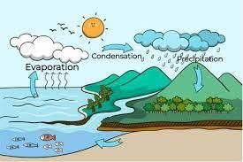 Class 5 Science - Our Environment - CBSE Worksheets - 2