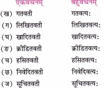 NCERT Solutions for Class 7 Sanskrit Chapter 5 सेवा हि परमो धर्म