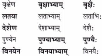 पृष्ठम् 25-26: प्रश्नानि