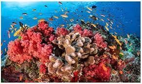 Environment & Ecology - 4 | Current Affairs & Hindu Analysis: Daily, Weekly & Monthly - UPSC