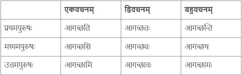 NCERT Solutions for Class 7 Sanskrit Chapter 1 वन्दे भारतमातरम्