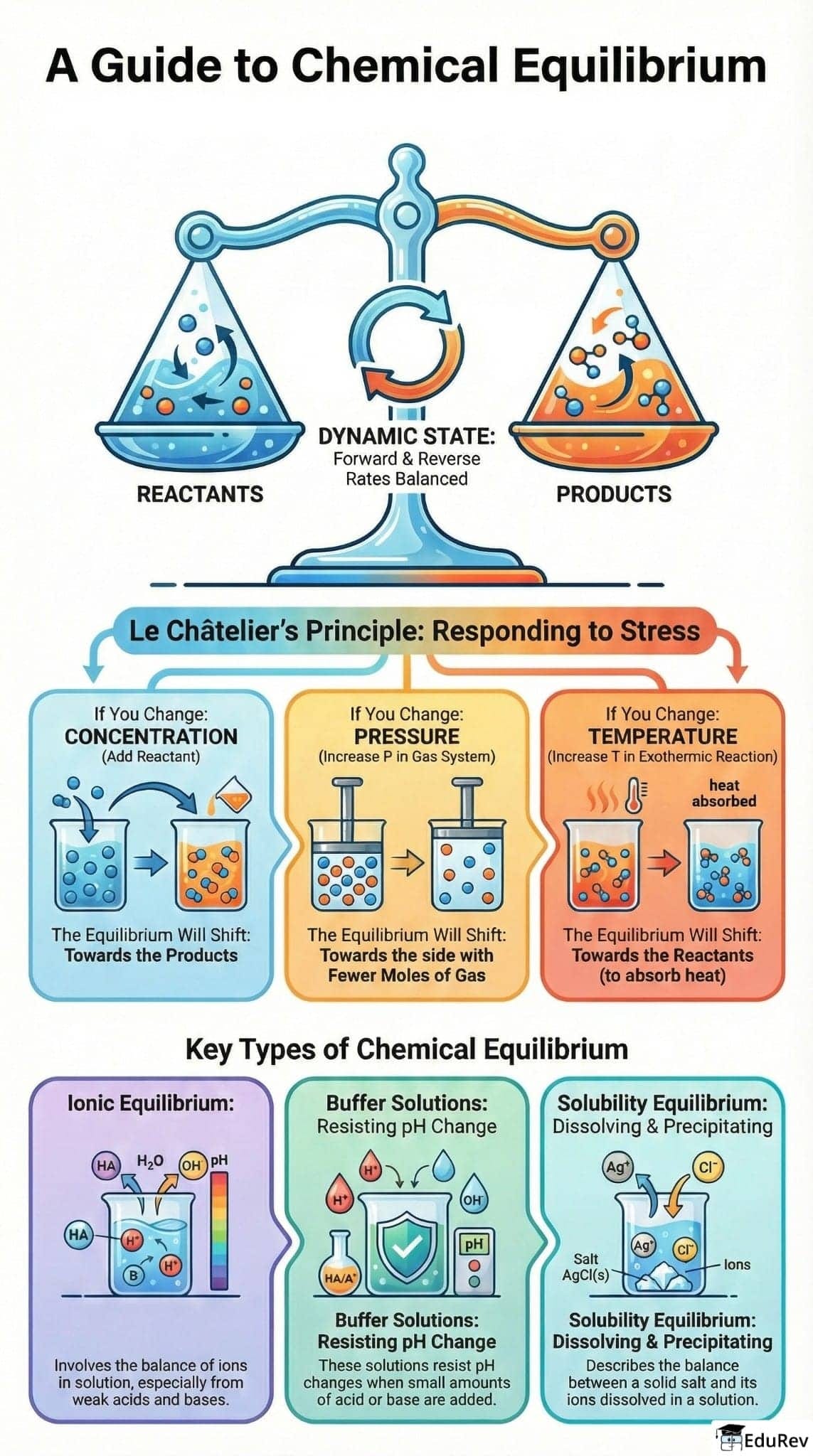 Infographics: Equilibrium