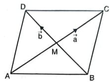 Long Answer Questions