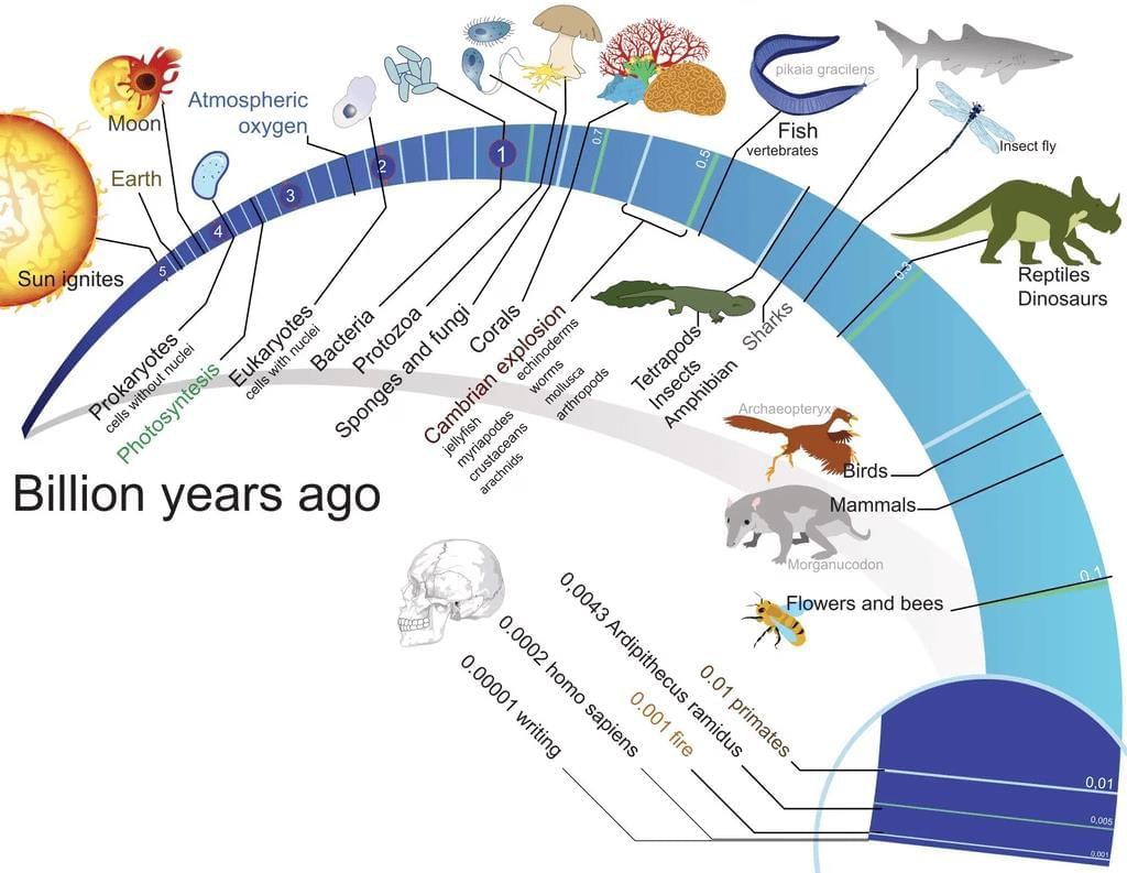Origin of Life | Biology Class 12 - NEET