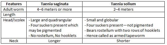 Cestodes and Trematodes Chapter Notes | Microbiology - NEET PG