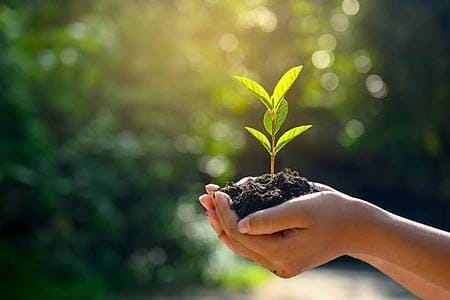 Chhattisgarh Links Forest Ecosystem to Green GDP