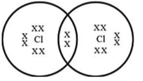 Class 10 Science Chapter 4 Previous Year Questions - Carbon and its compounds