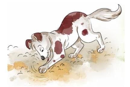 i) बहुविकल्पीय प्रश्न