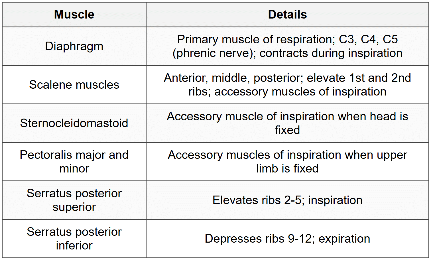 1.5 Muscles of Thoracic Wall