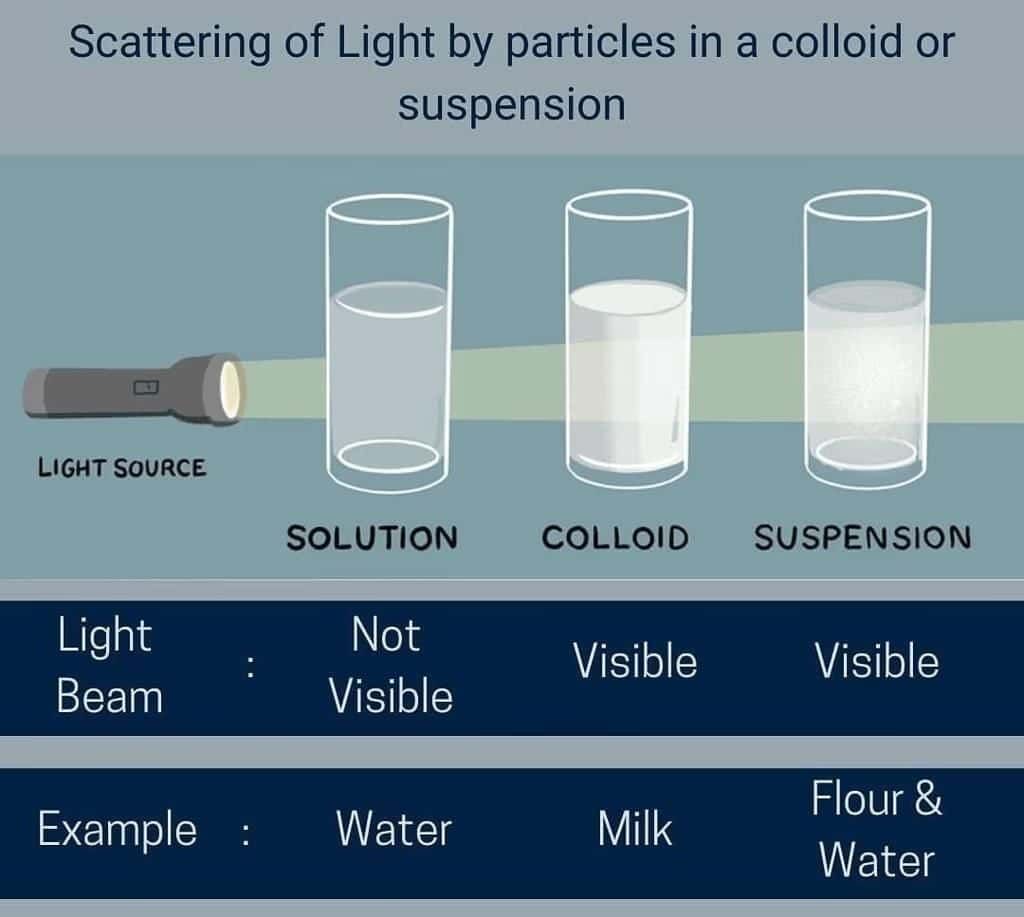 Mixture and Solution | Science Curiosity Class 8 -  New NCERT
