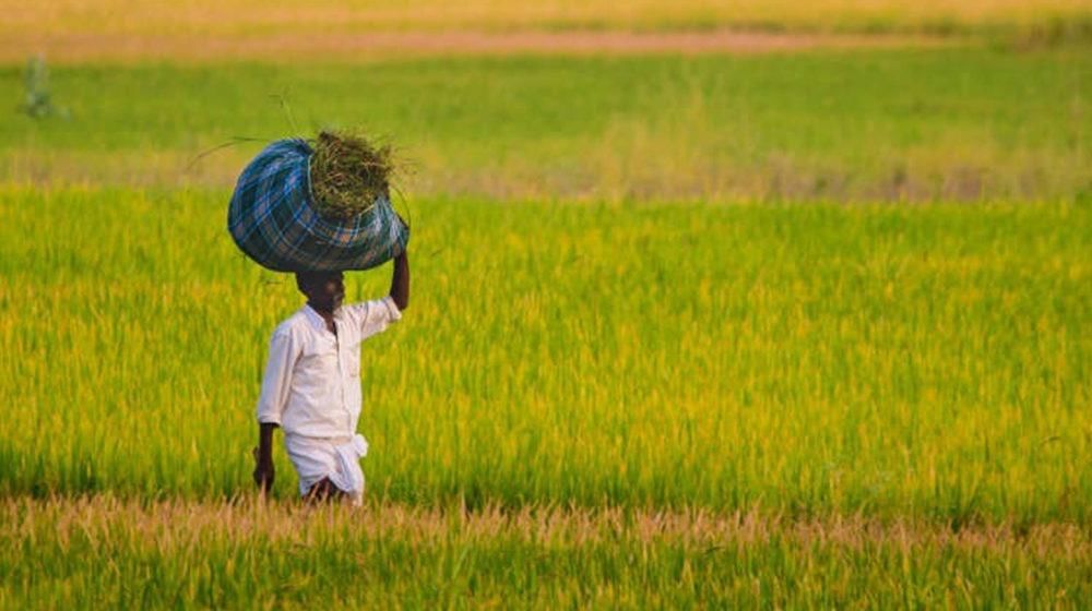 Agriculture