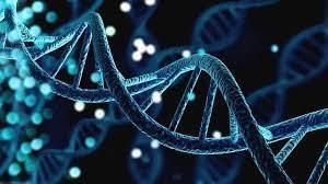 Science & Technology - 5 | Current Affairs & Hindu Analysis: Daily, Weekly & Monthly - UPSC