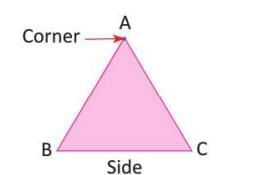 Geometry and Maps Chapter Notes | Mathematics Class 3 ICSE