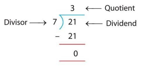 Division Chapter Notes | Mathematics Class 3 ICSE