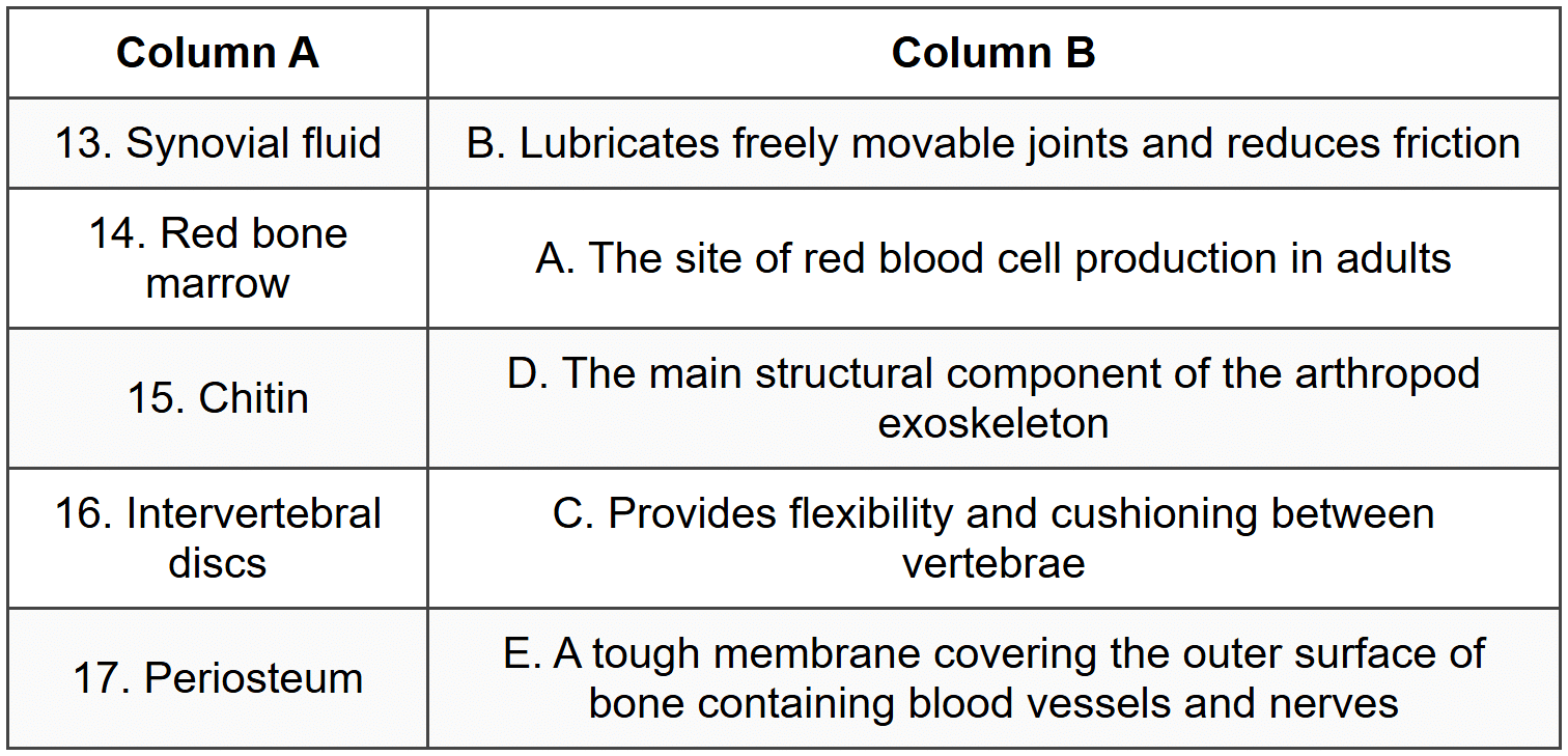 SECTION A3 - Match Column A to Column B