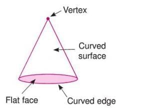 Visualizing Solid Shapes Chapter Notes | Mathematics Class 7 ICSE