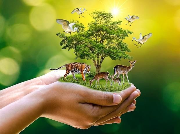 Class 10 Science Chapter 16 Previous Year Questions - Sustainable Management of Natural Resources