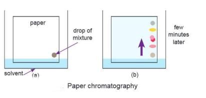 Elements, Compounds and Mixtures Chapter Notes | Chemistry Class 7 ICSE