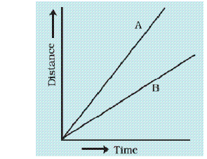 NCERT Solutions for Class 7 Science - Motion and Time