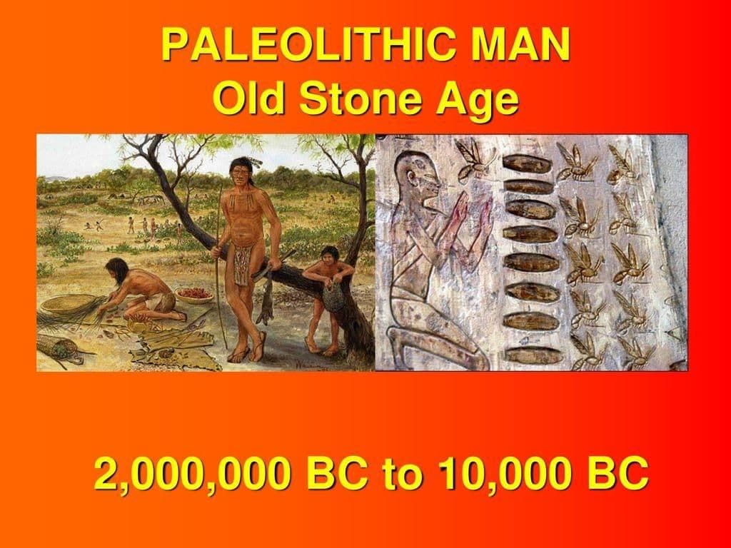 The Stone Age Chapter Notes | Social Studies Class 5 ICSE