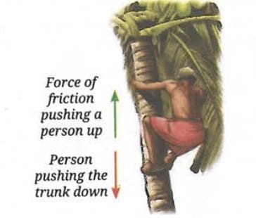 6.6 Newton`s Third Law of Motion