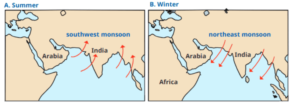 The Monsoons