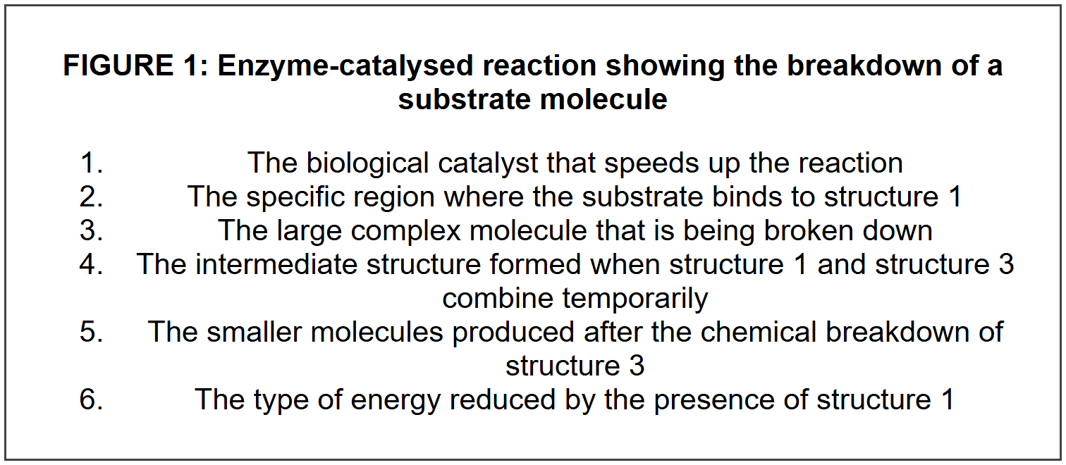 SECTION B: DIAGRAM AND LABELLING QUESTIONS