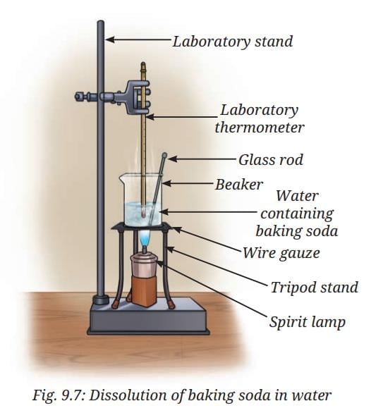NCERT Based Activity: The Amazing World of Solutes, Solvents, and Solutions | Science Curiosity Class 8 -  New NCERT