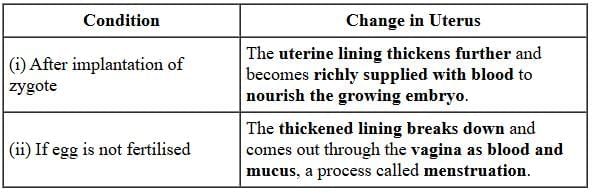 Class 10 Science Chapter 7 Previous Year Questions - How do Organisms Reproduce?