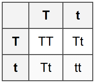 Section G - Question 3