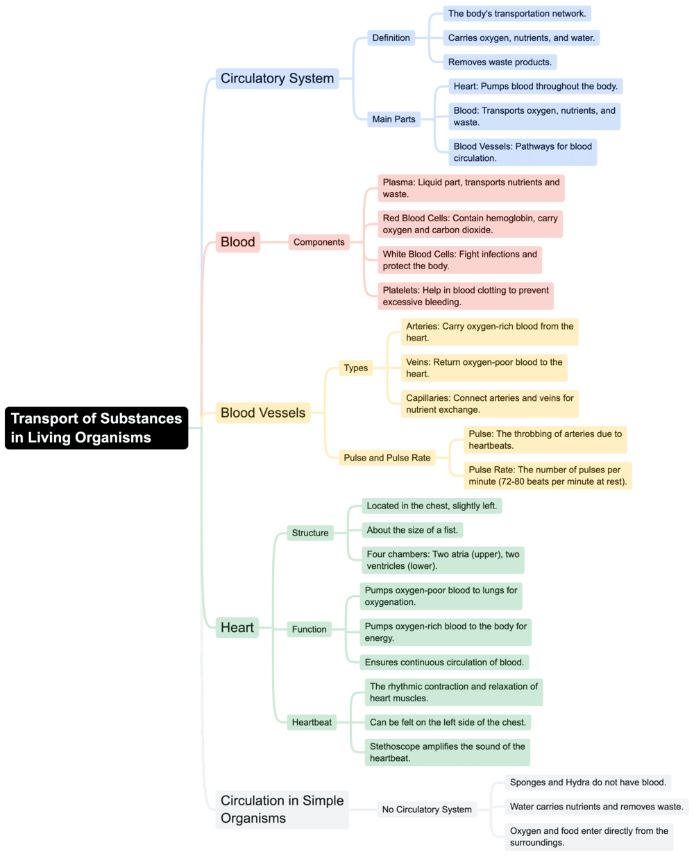 Mind Map: Transportation in Animals and Plants