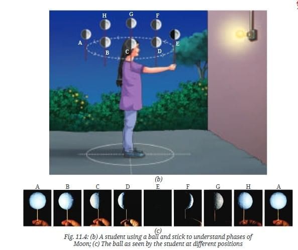 NCERT Based Activity: Keeping Time with the Skies | Science Curiosity Class 8 -  New NCERT