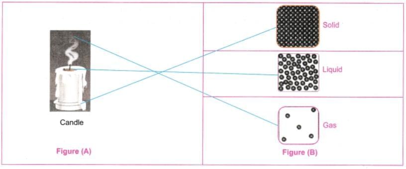 Particulate Nature of Matter NCERT Solutions | Science Curiosity Class 8 -  New NCERT