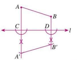 Symmetry, Reflection, and Rotation Chapter Notes | Mathematics Class 7 ICSE
