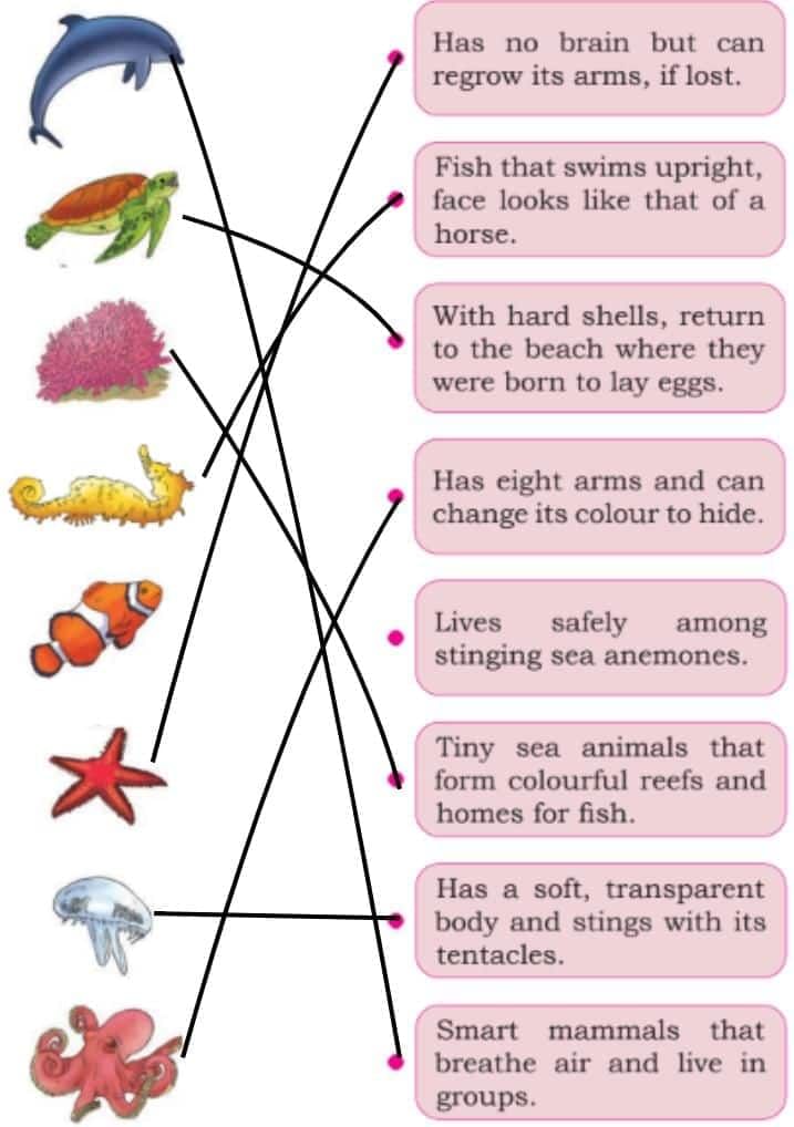 Some Unique Places NCERT Solutions | Our Wondrous World  Class 5 - New NCERT