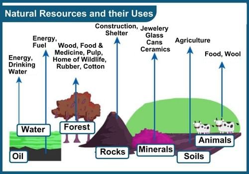 Olympiad Notes: Natural Resources | Science Olympiad Class 6