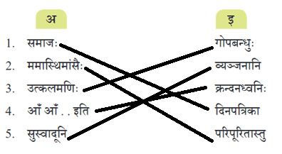 प्रणम्यो देशभक्तोऽयं गोपबन्धुर्महामनाः NCERT Solutions | Sanskrit  (Deepakam) Class  8  -  New  NCERT - Class 8