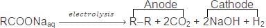 Hydrocarbons: Classification, Properties, Preparation & Uses | Chemistry Class 11 - NEET
