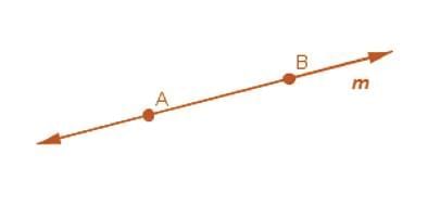 Basic Concepts in Geometry Chapter Notes | Mathematics Class 6 (SSC Board)