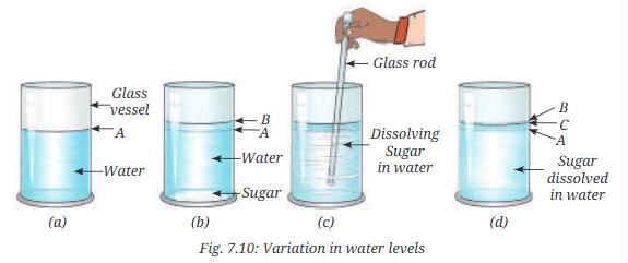 NCERT Based Activity: Particulate Nature of Matter | Science Curiosity Class 8 -  New NCERT