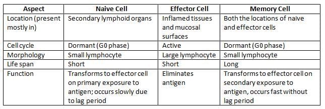 Structure of Immune System and Immune Response Chapter Notes | Microbiology - NEET PG